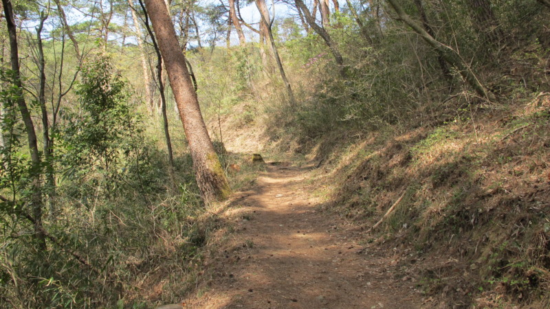 登城道の様子と周囲の地形