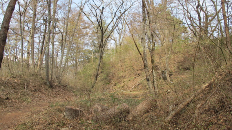 高切岸と門が続く登城路