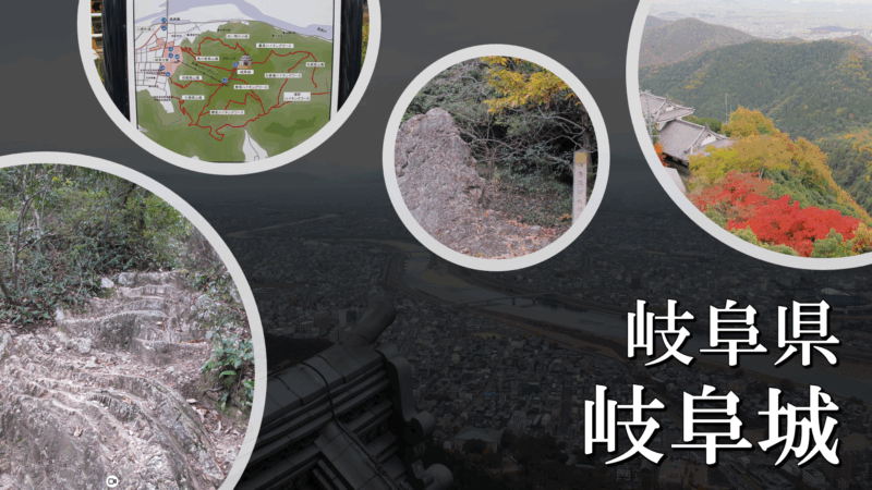 金華山山上に建つ岐阜城天守の遠景写真