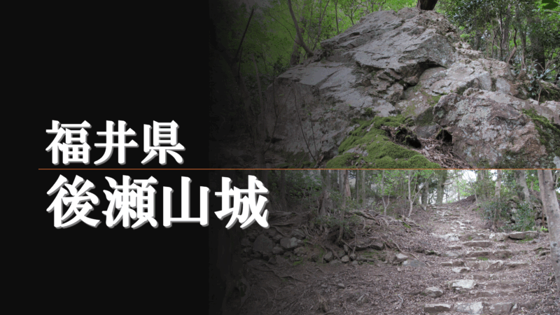 後瀬山城 主郭と若狭湾を望む風景の写真