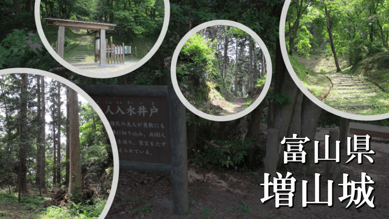 増山城と増山湖の風景