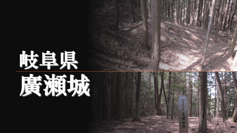 杉林の中を進む廣瀬城の登城道の写真