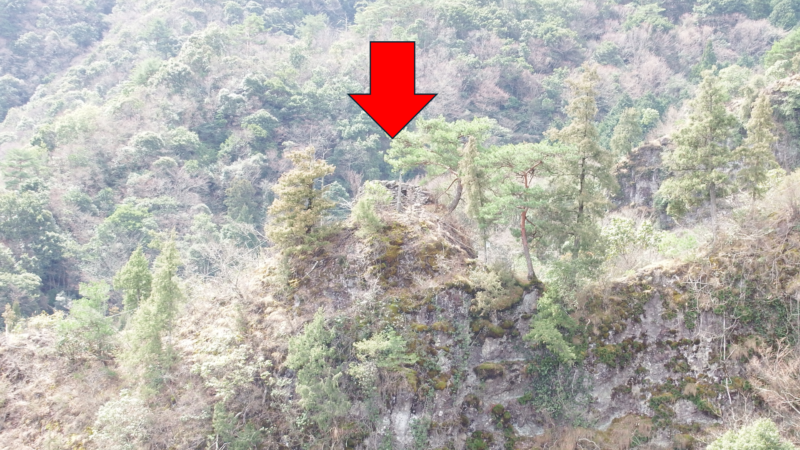 石積櫓を遠望できる地点(谷越しの視界)