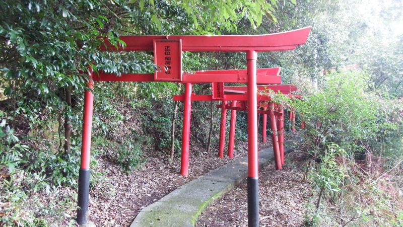 古麓稲荷神社の参道に続く朱塗りの鳥居