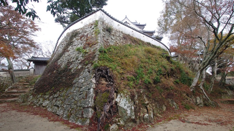 備中松山城の天守と周辺遺構。現存天守の雄姿