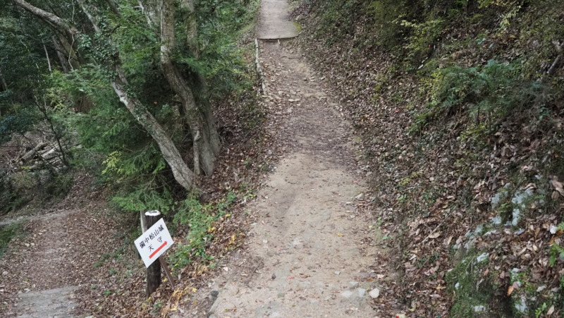 城内への登り道。石垣と階段が続く風景