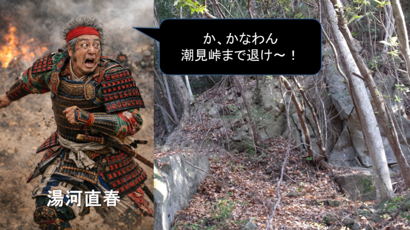 紀伊国内で抵抗と制圧が進む局面を示す図。地域側の動揺