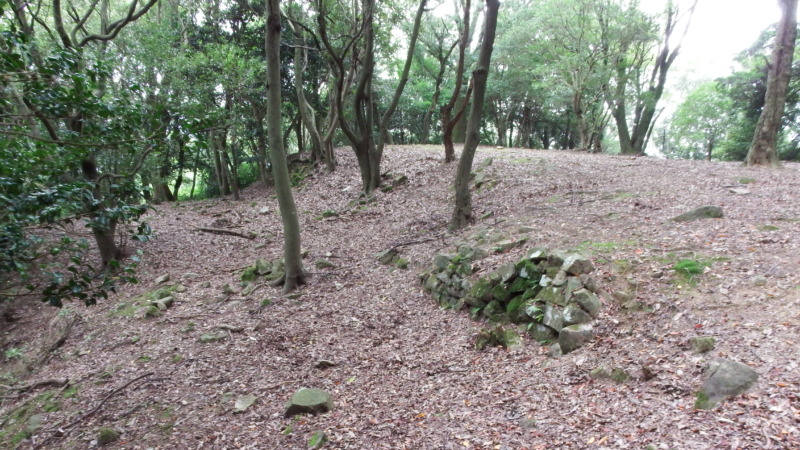 伝茶室跡付近の石垣跡。崩落した石材が見える
