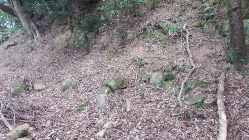 伝茶室跡周辺の石垣跡。城内の石積みの断片