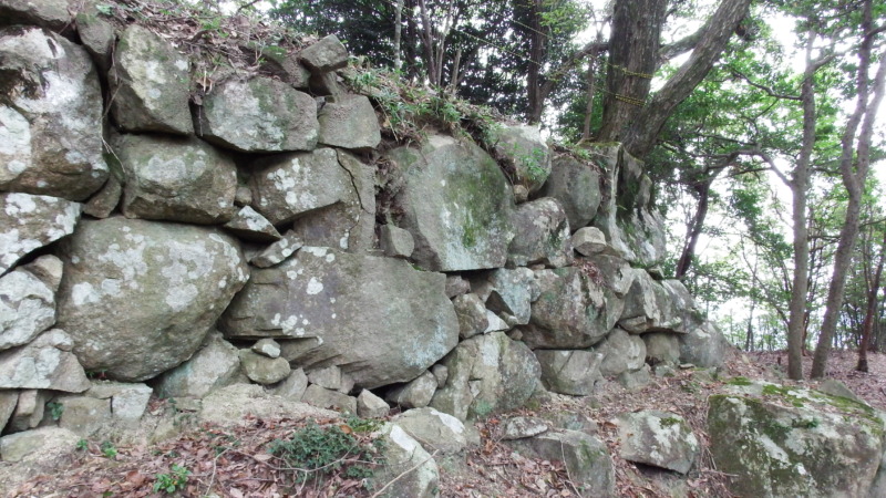 大石垣の別角度。迫力ある石垣の表情が分かる
