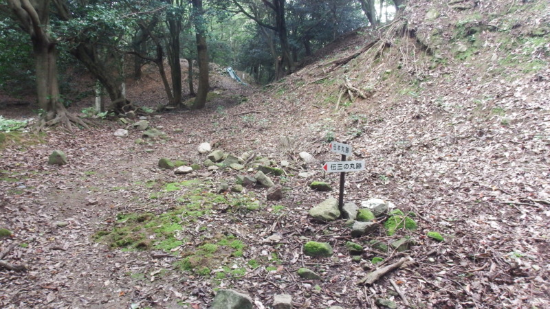 伝三の丸跡の風景。広い曲輪空間が続く
