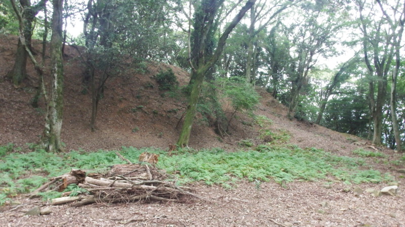 置塩城の広い曲輪空間。見通しが良く歩行しやすい