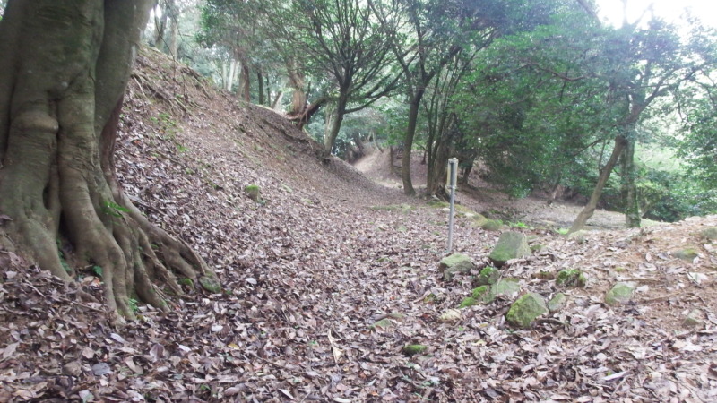 曲輪間をつなぐ広い通路。余裕のある縄張りが分かる