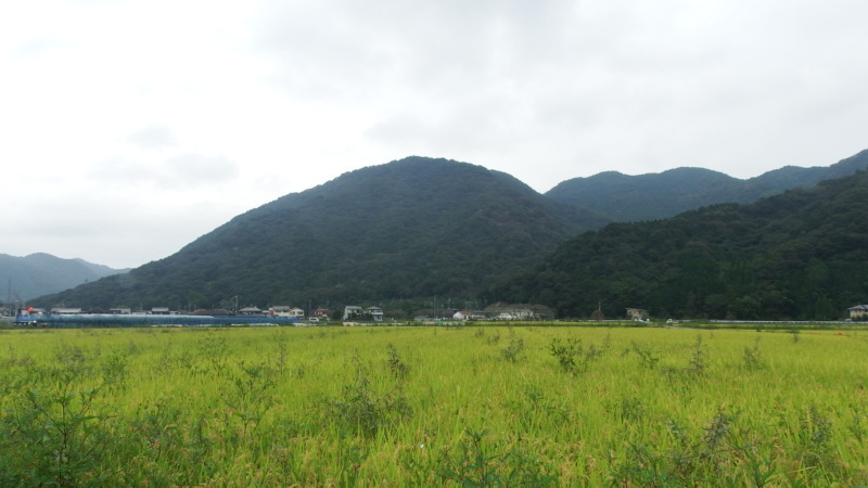 置塩城の城内風景。尾根上に連続する曲輪と通路