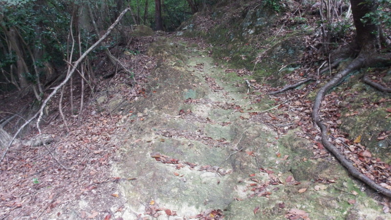 岩盤を削って作られた置塩城の階段状の登城路