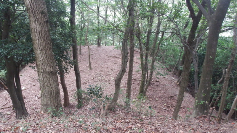 置塩城の登城路。曲輪へ向かう道の様子