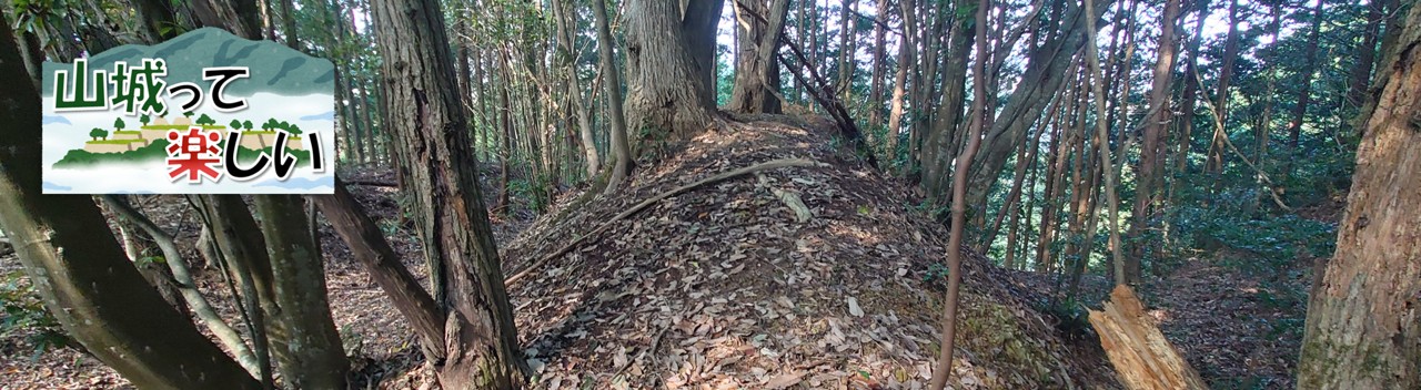 山城って楽しい　