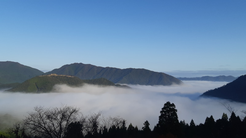 雲海が流れ込む竹田城の朝の風景