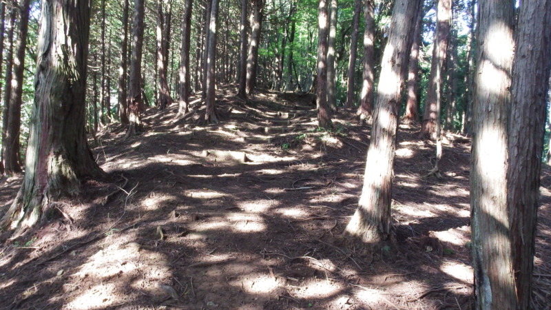 登城路の案内や道標付近の様子