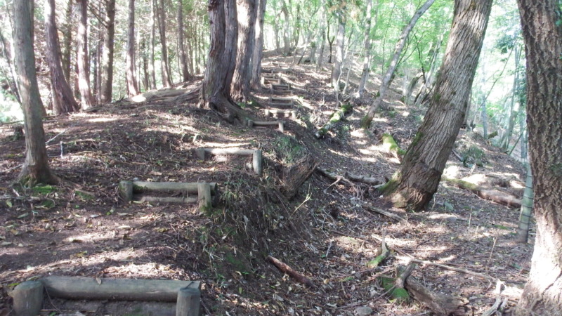 登城路の木立の中の道