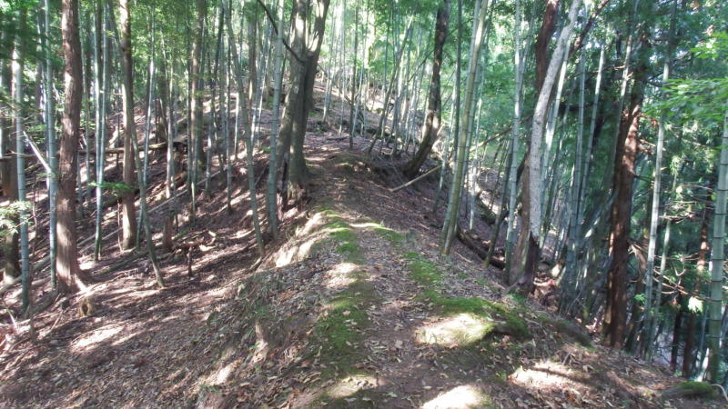 登城路の途中の道の様子