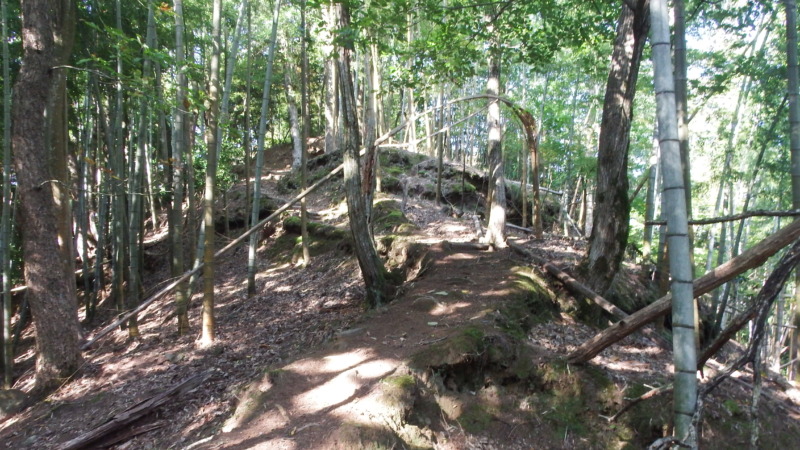 登城路の曲がり角付近の山道