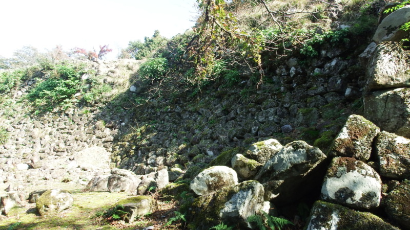 南西側の石垣とその周辺