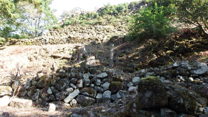 南西側の石垣の近景