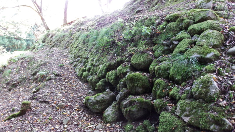 北側に残る石垣の様子