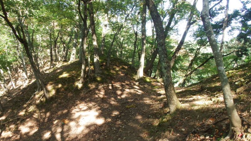 八木土城 現地写真1