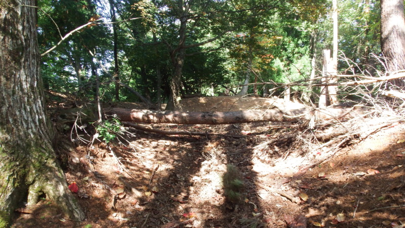 八木土城 現地写真4