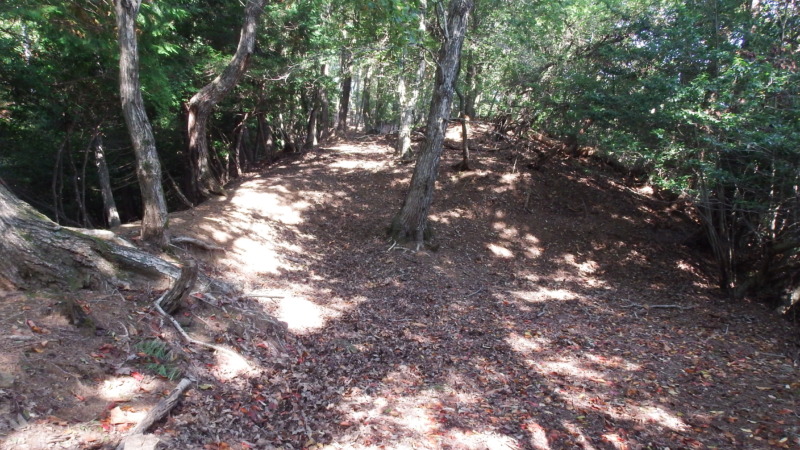 八木土城 現地写真6