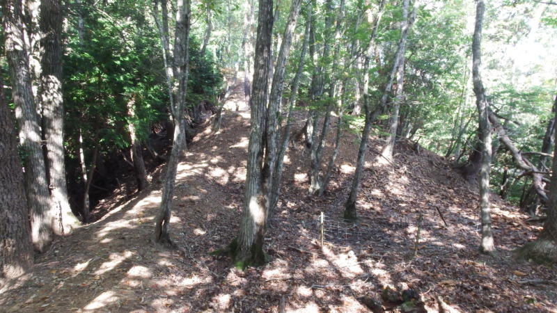 八木土城 現地写真7