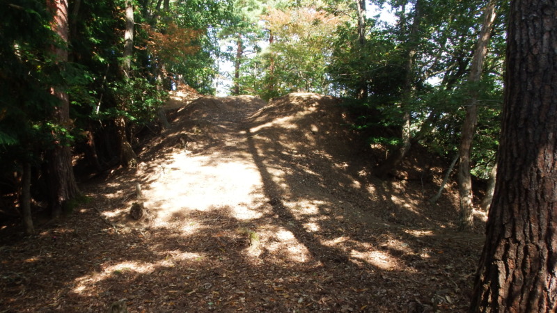 八木土城 現地写真10