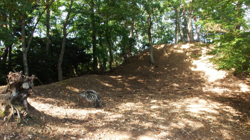 八木土城 現地写真12