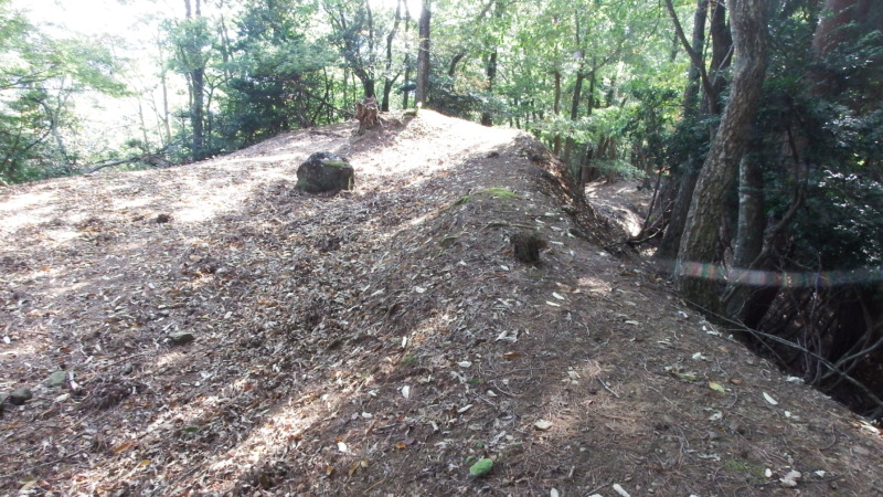 八木土城 現地写真13