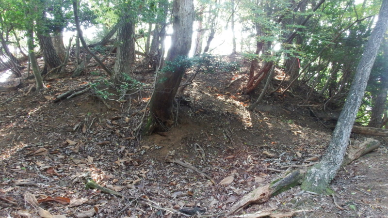 八木土城 現地写真14