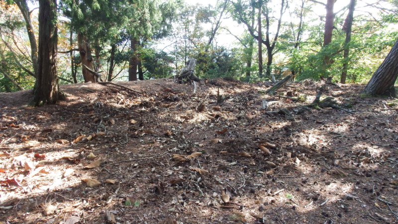 八木土城 現地写真15