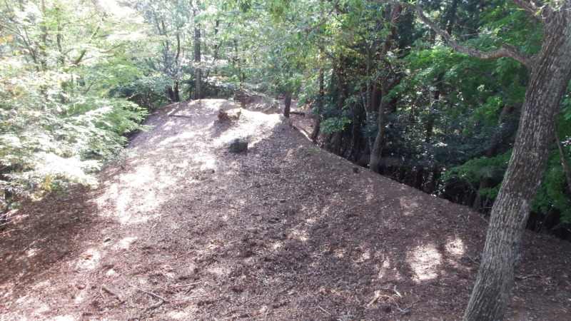 八木土城 現地写真16