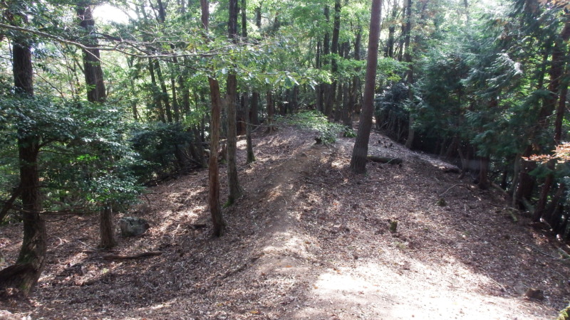 八木土城 現地写真8