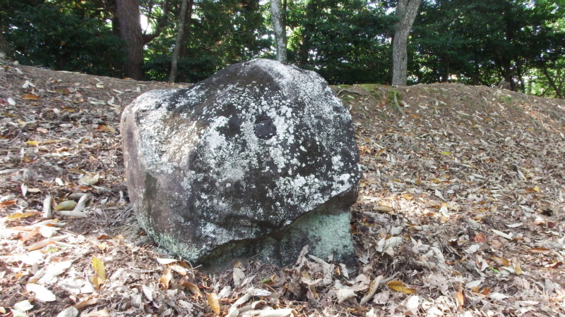 八木土城 現地写真18