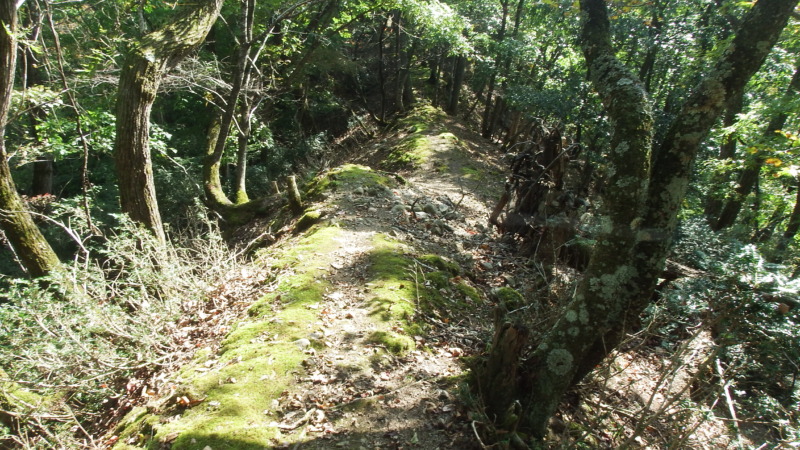 八木土城 現地写真3