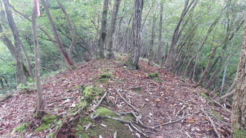円墳が続く尾根道