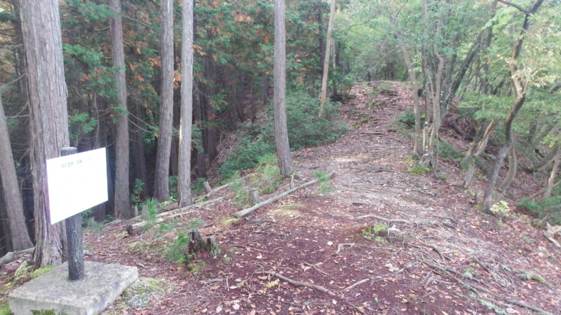 分岐点付近の曲輪