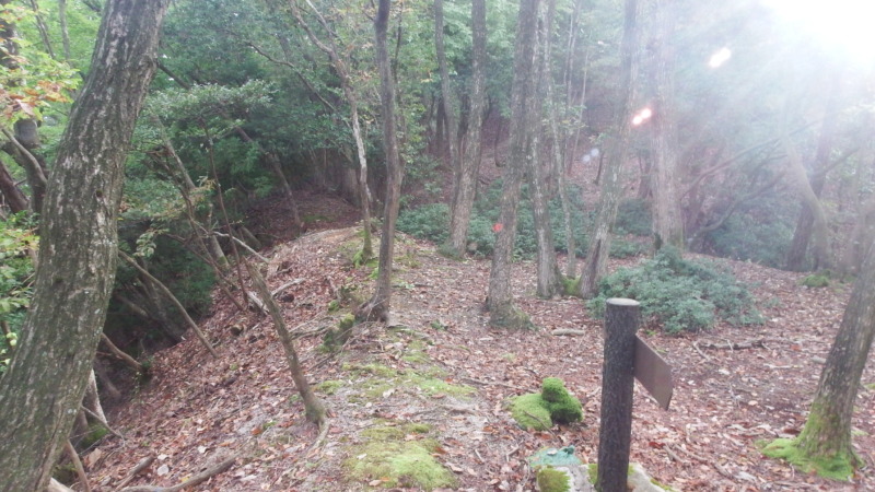 曲輪の連なりが分かる尾根筋