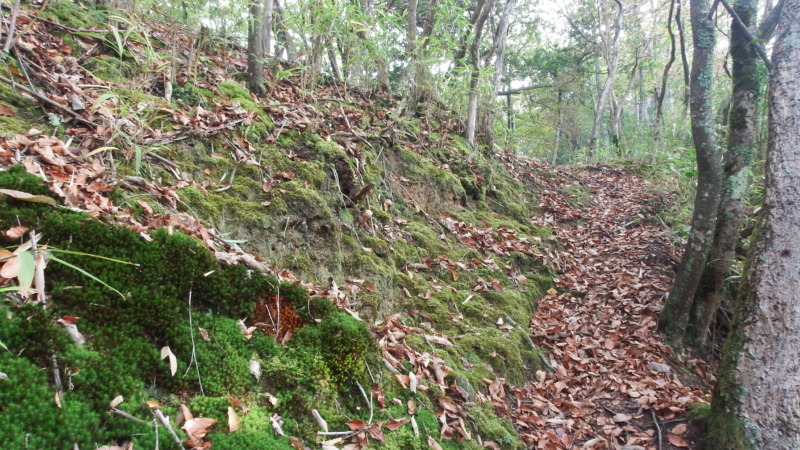 尾根上の通路と斜面