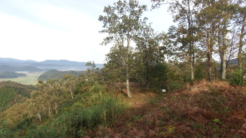 山頂部周辺の地形