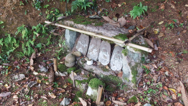 山頂部の眺望と周辺地形