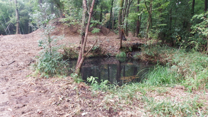 水が湧き出ている城域内の一角