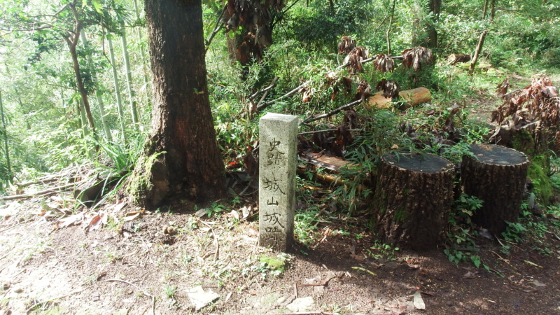 竪土塁周辺の藪が繁茂した斜面